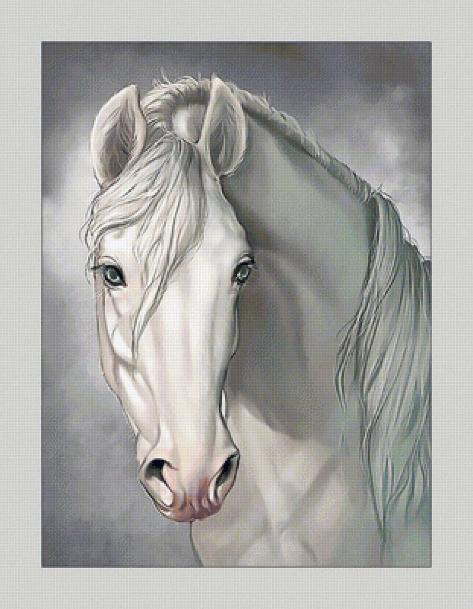 Белый конь. - конь, животные, лошадь - предпросмотр