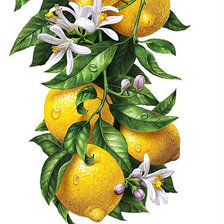 Схема вышивки «Лимоны на ветке»