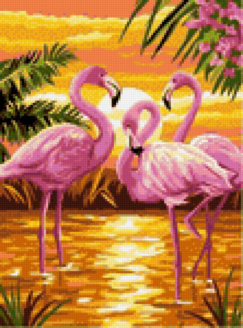 Фламинго - фламинго - предпросмотр