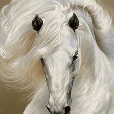 Оригинал схемы вышивки «портрет белого коня» (№2113246)