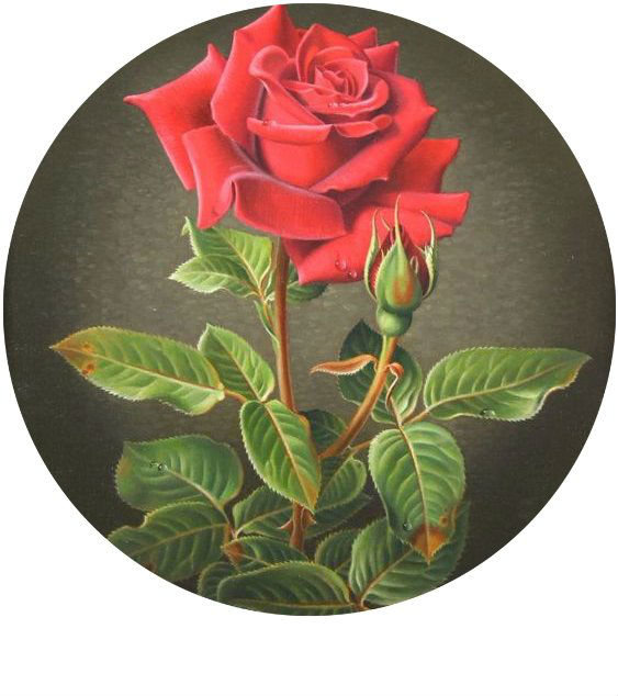 Роза - цветов, красная роза - оригинал