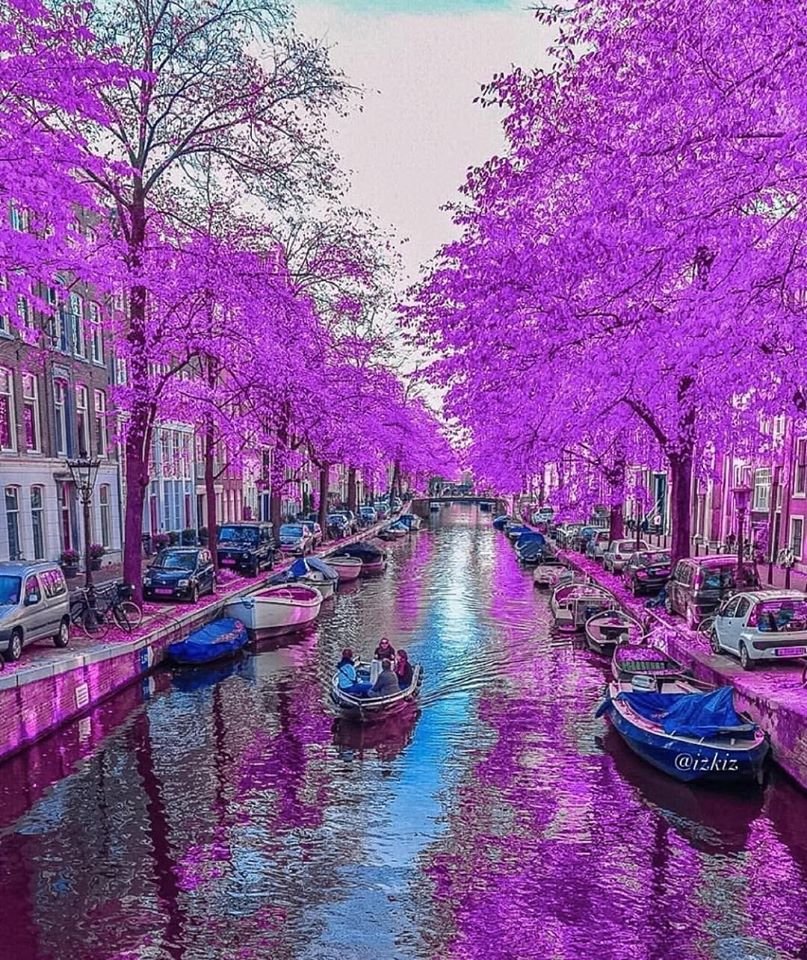 Канал Амстердама - канал, весна - оригинал