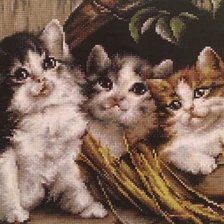 Схема вышивки «котятки»
