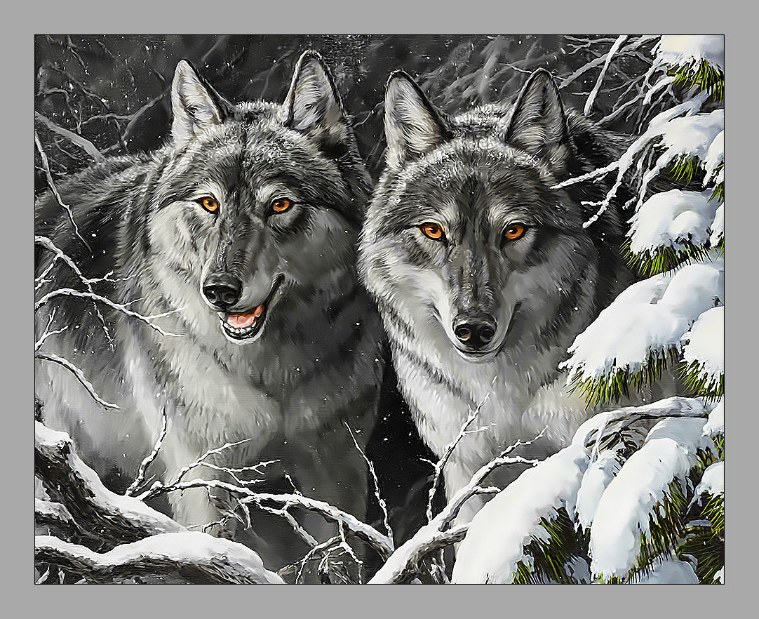 Волки в зимнем лесу. - зима, хищники, волки, пара, пейзаж, снег - оригинал