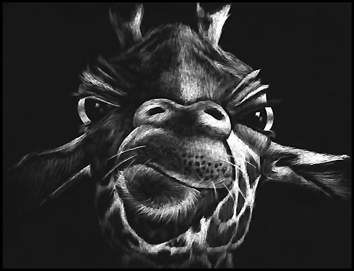 жираф - оригинал