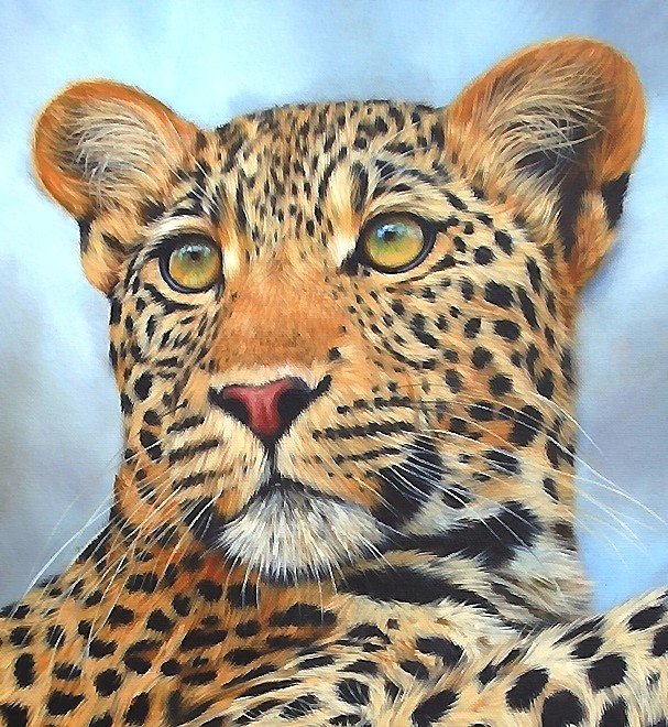 леопард - мир животных, леопард - оригинал