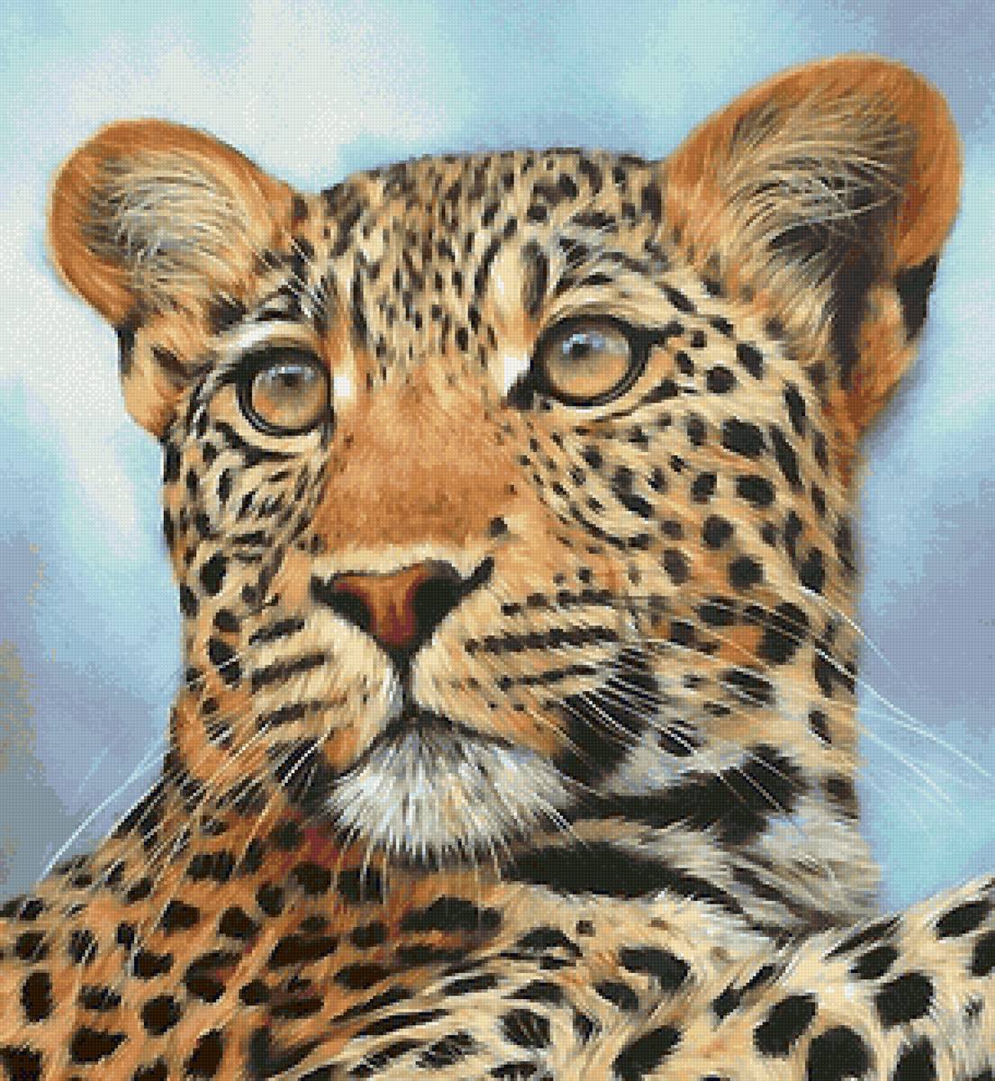 леопард - леопард, мир животных - предпросмотр