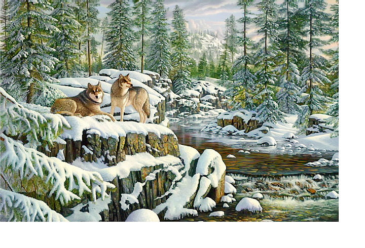 Волки - зима, река, животные, зимний пейзаж - оригинал