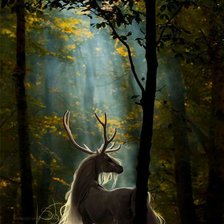 Единорог в лесу