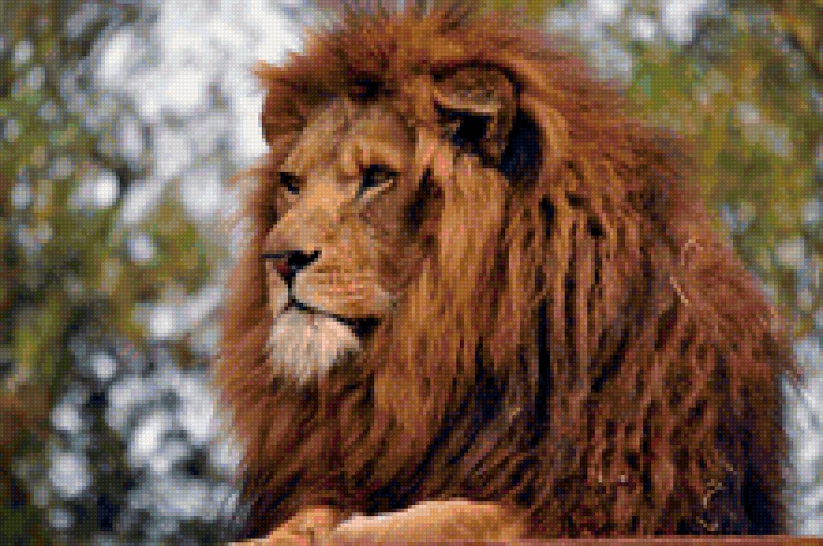 Царь зверей - лев, животные - предпросмотр