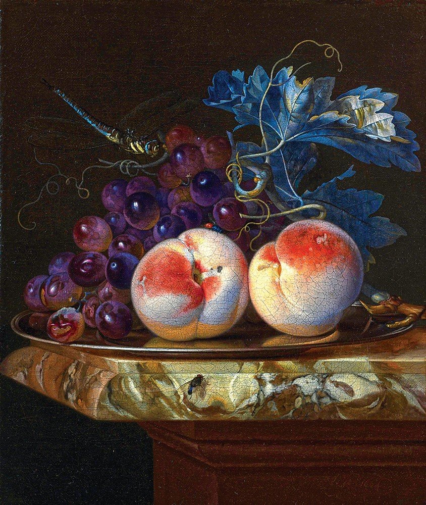 Фрукты и стрекоза. Виллем Ван Альст - натюрморт, стрекоза, живопись, фрукты - оригинал