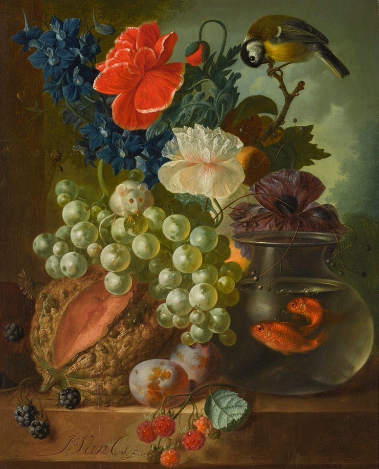 Натюрморт с рыбками. Ян Ван ОС - мышка, живопись, рыбки, натюрморт, птичка, фрукты - оригинал