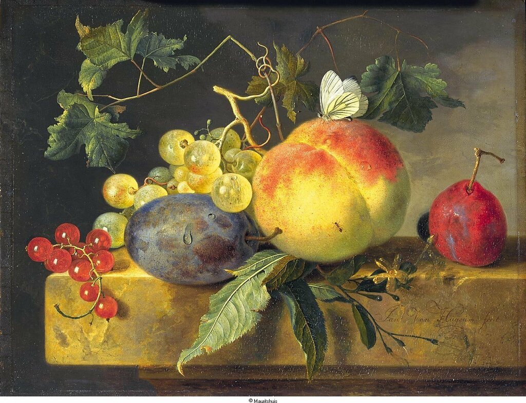 Натюрморт с фруктами. Ян Ван Хейсум - фрукты, натюрморт, живопись - оригинал