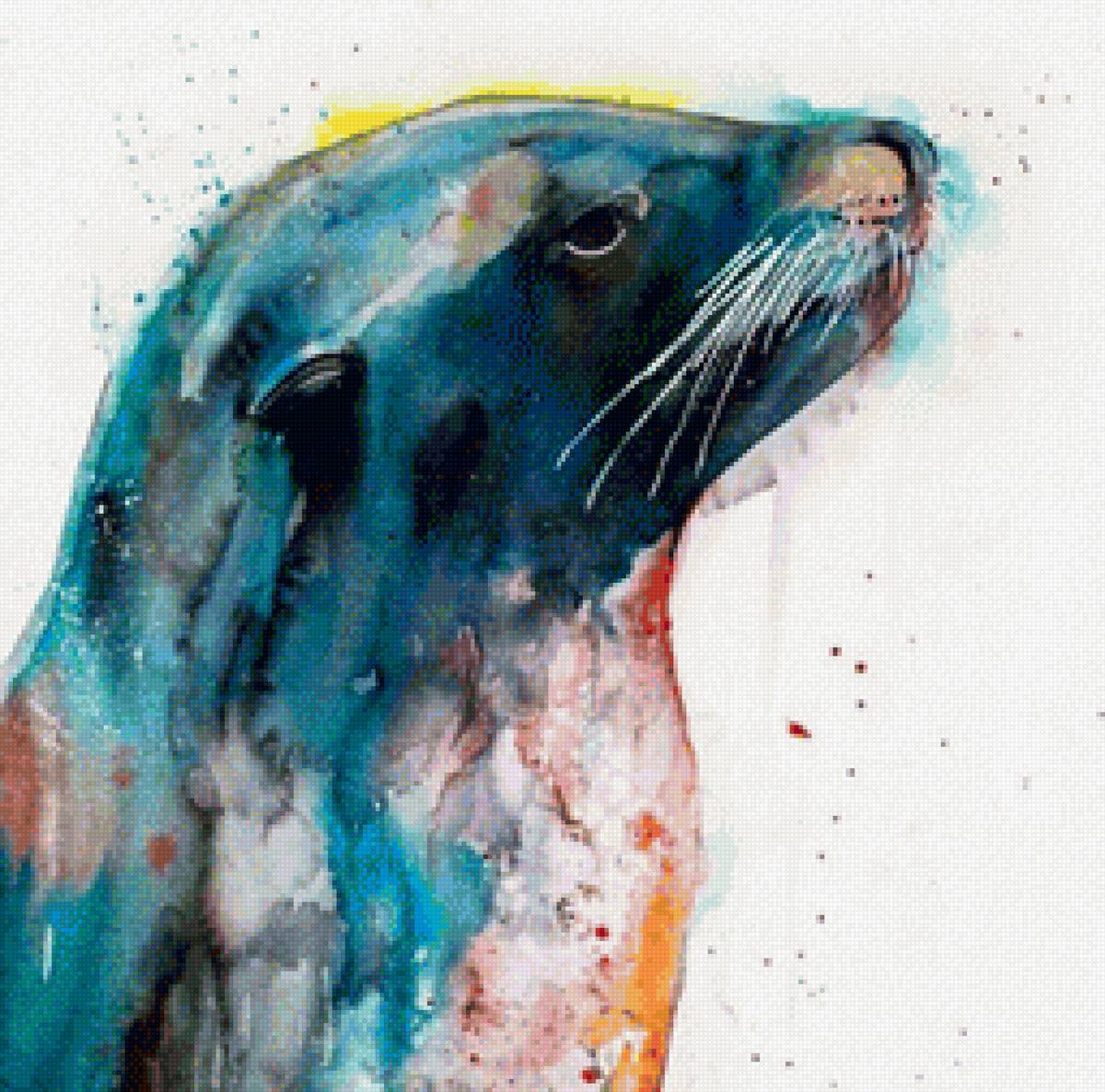 Тюлень в акварели - морской котик, акварель, тюлень, абстракция - предпросмотр