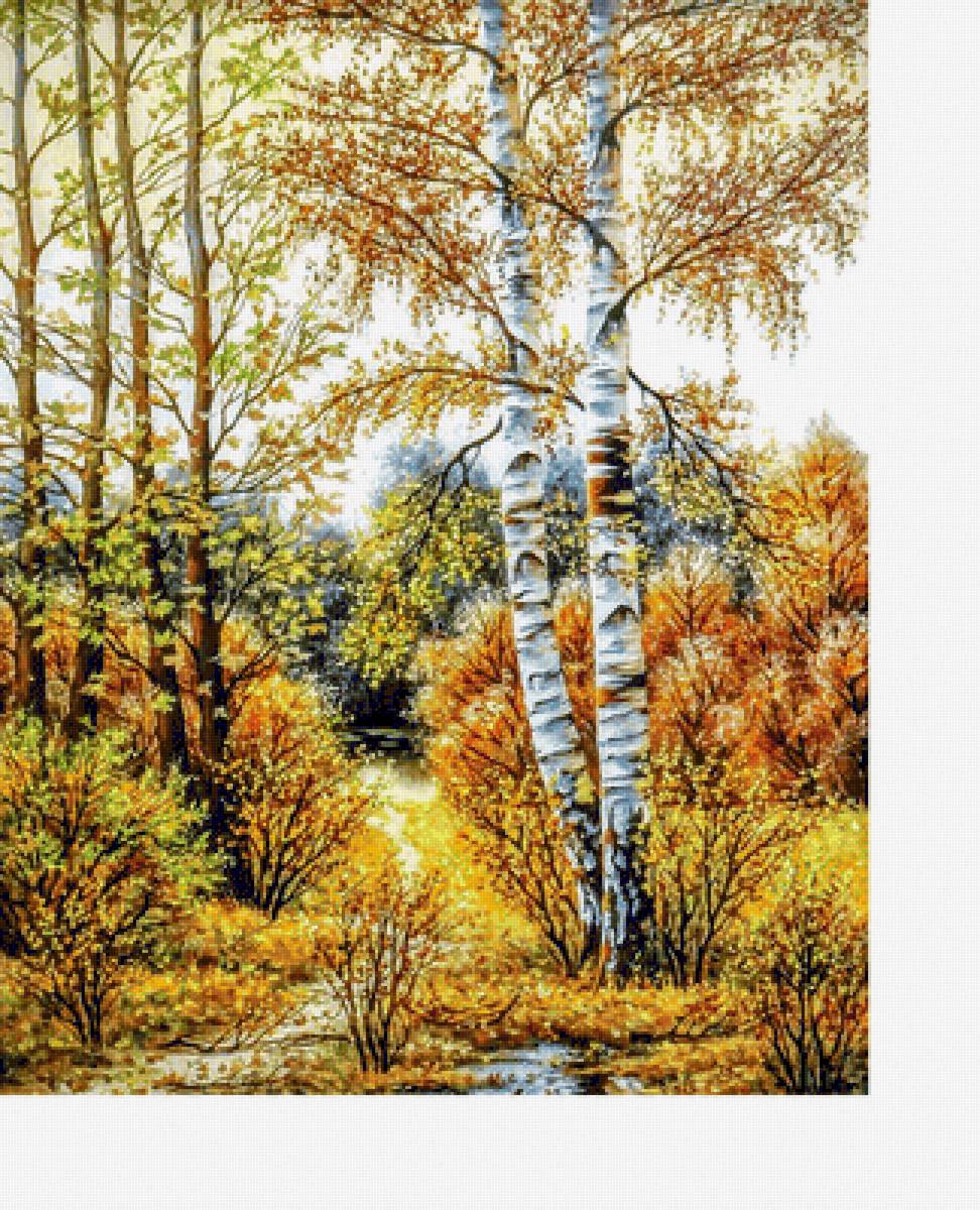 Осенний пейзаж - лес, река, осень, березы - предпросмотр