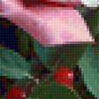 Предпросмотр схемы вышивки «Розы и ягоды» (№2142252)