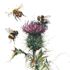 Оригинал схемы вышивки «пчелы» (№2147562)