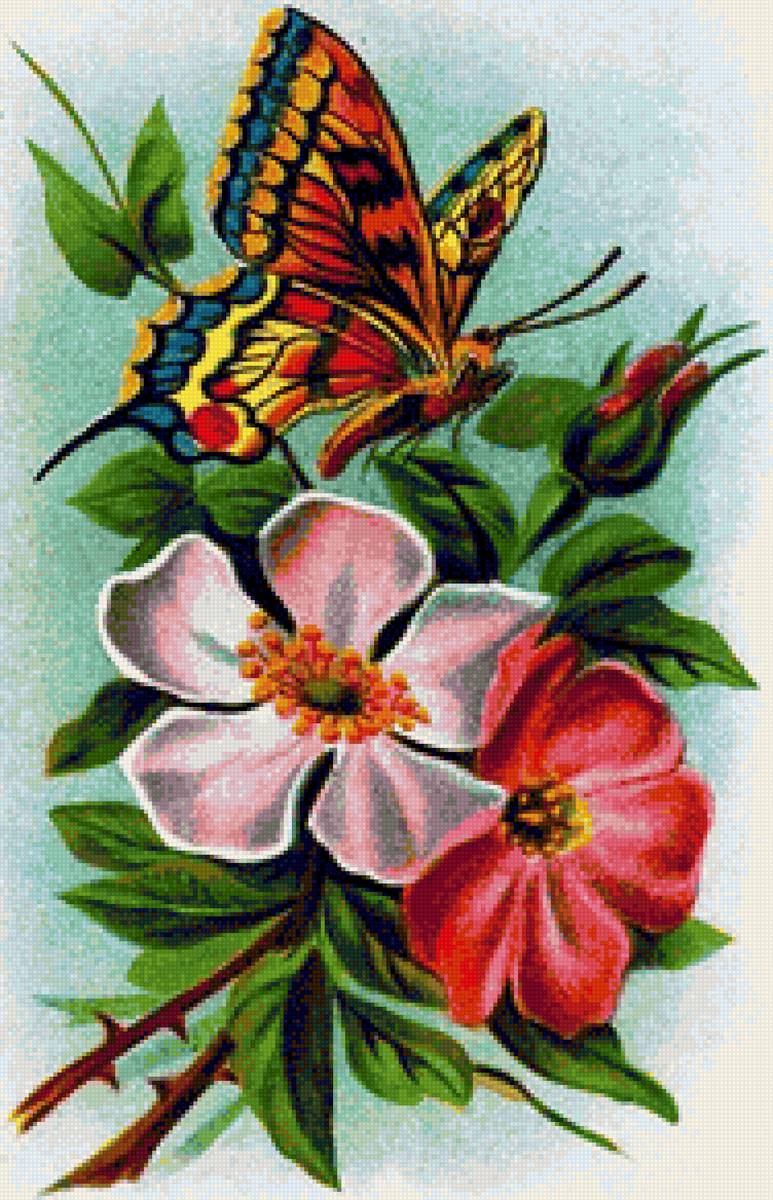 Бабочка на шиповнике - бабочка, цветы - предпросмотр