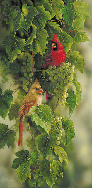 Веселые птички - виноград, листья, птицы - оригинал