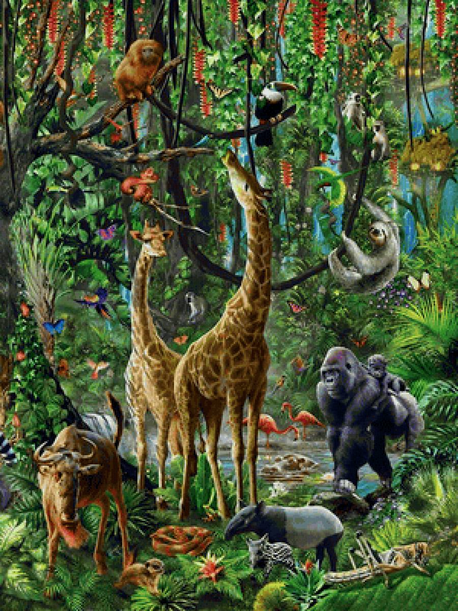 №2148212 - животные, джунгли - предпросмотр