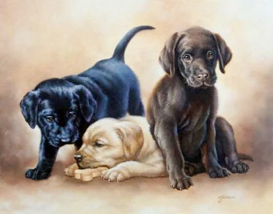 tres perros 2 - animales - оригинал