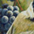 Предпросмотр схемы вышивки «Синички на винограде» (№2158959)