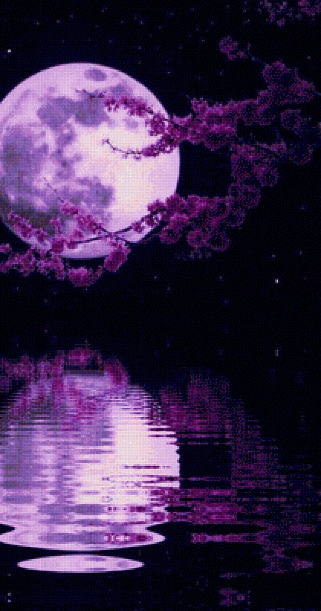 Ночь на озере - луна, ночь, море, цветы, озеро - предпросмотр
