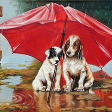 Perros bajo el paraguas 4