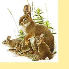 Схема вышивки «Серия "Зайцы-кролики"»