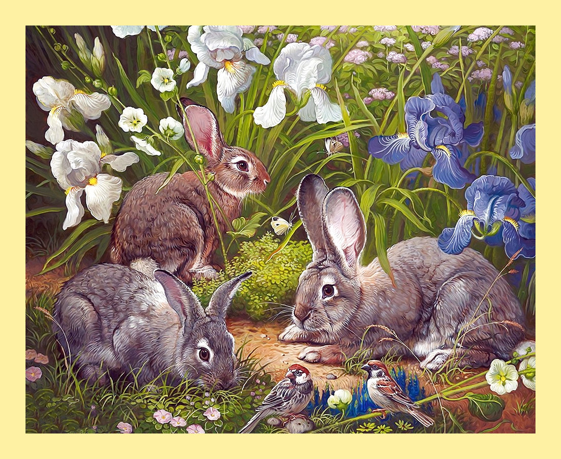 Серия "Зайцы-кролики" - животные, кролики, зайцы - оригинал