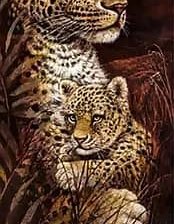 Схема вышивки «Ночная саванна леопард»