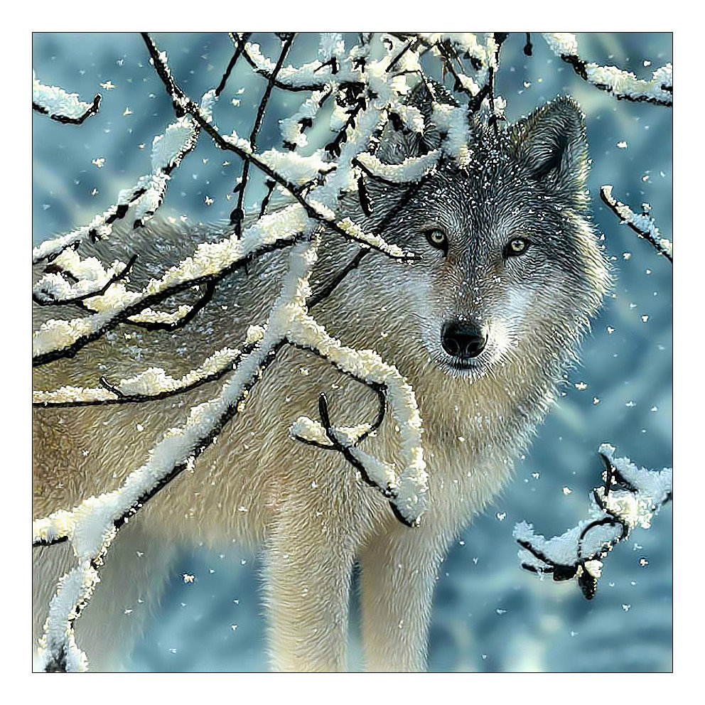 Волк в зимнем лесу. - лес, волк, снег, хищник, зима - оригинал