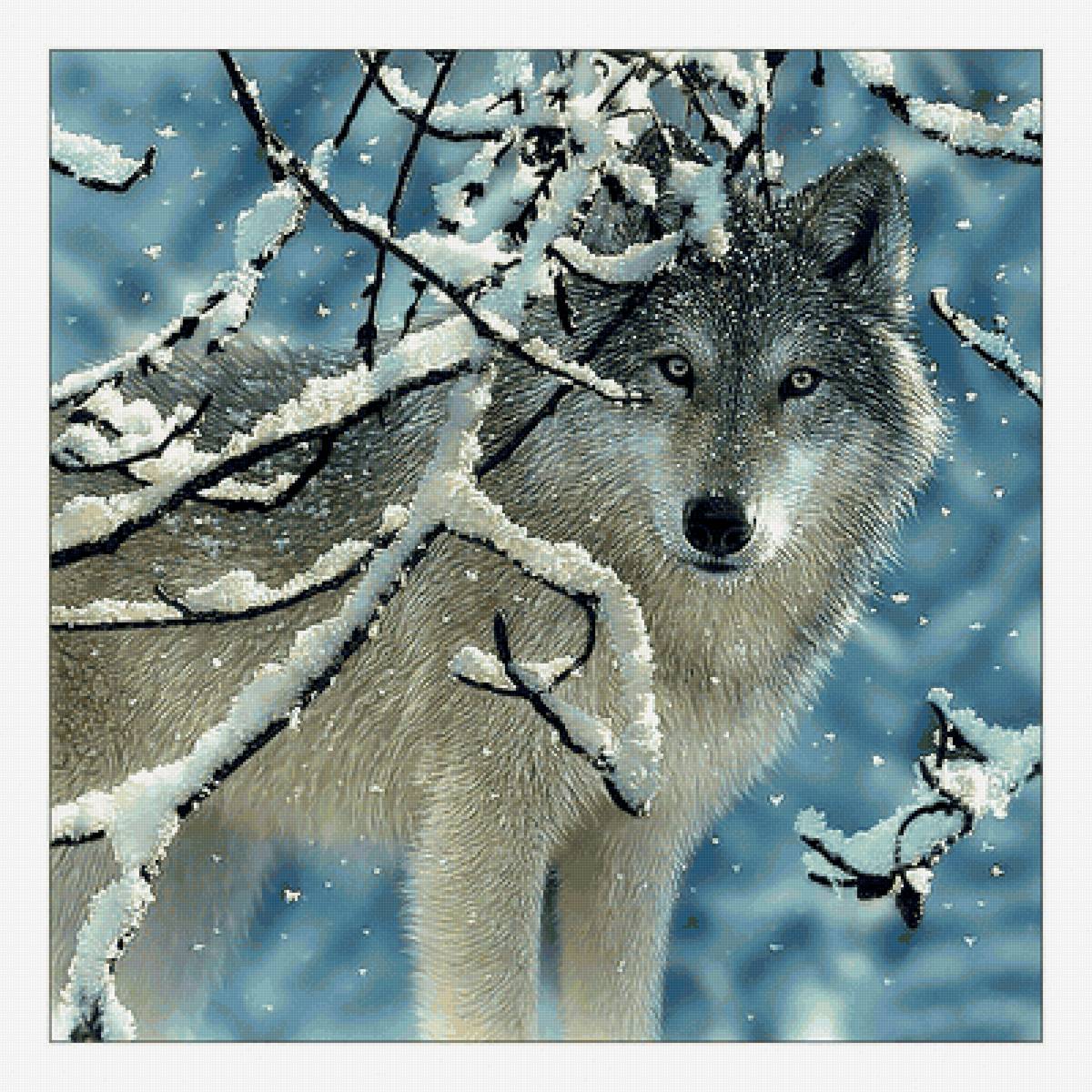 Волк в зимнем лесу. - снег, лес, волк, хищник, зима - предпросмотр
