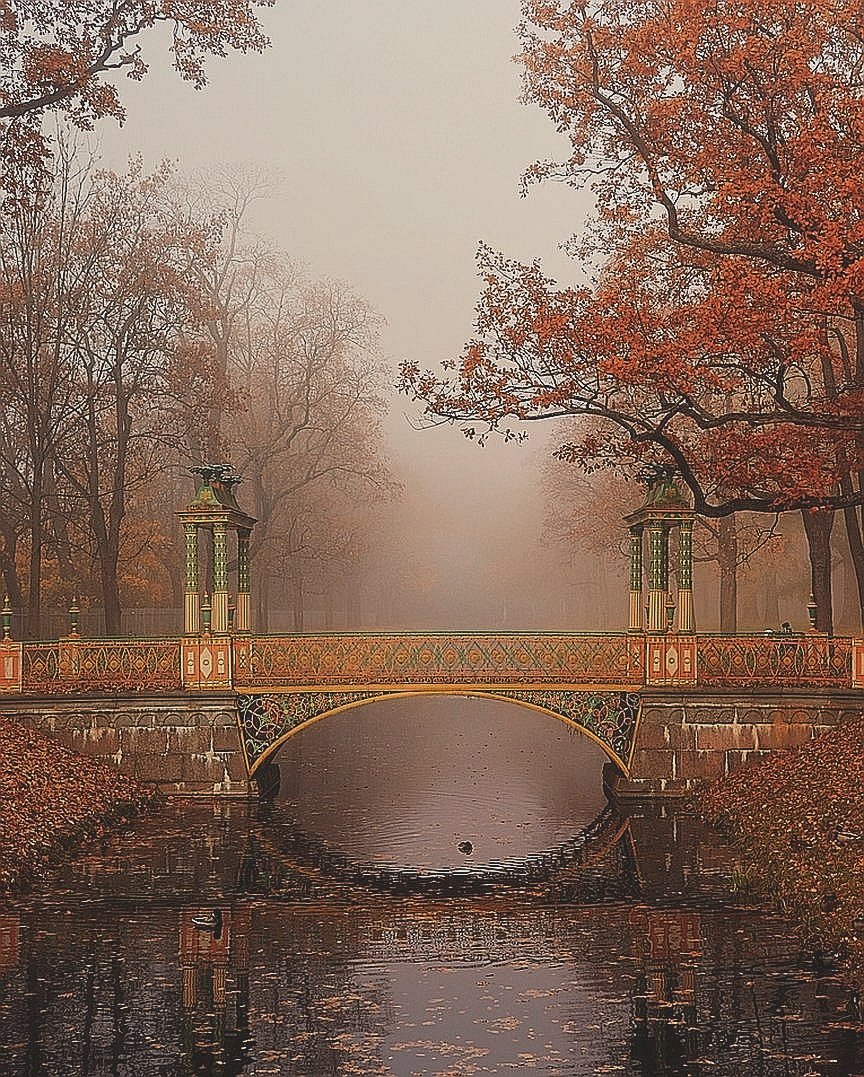 Мост в осеннем парке - осень, туман, мост - оригинал