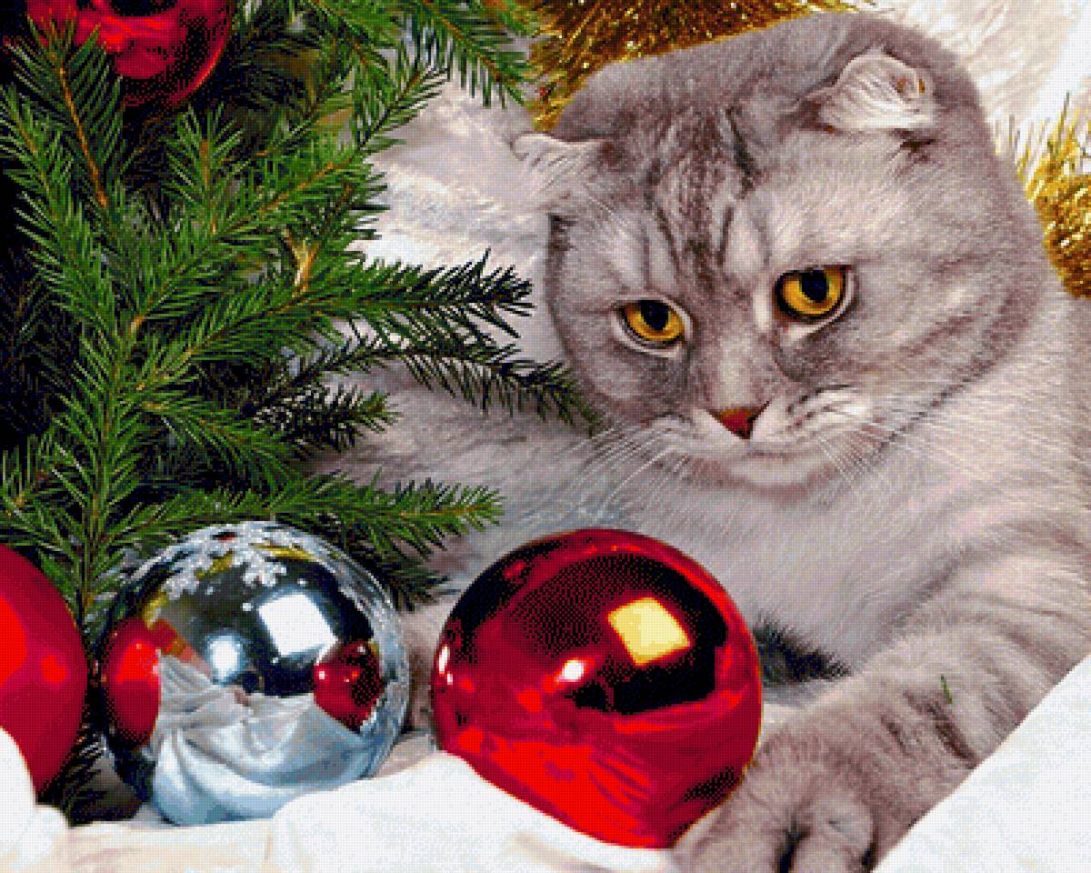 новый год, кот - новый год, шары, кошка - предпросмотр