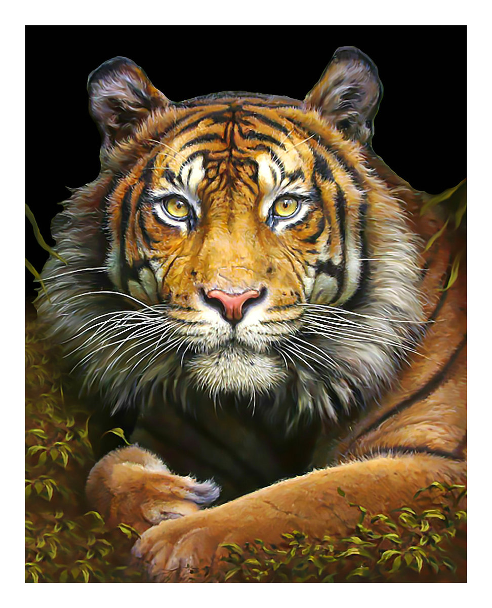 Тигр. - взгляд, живопись, хищник, тигр - оригинал