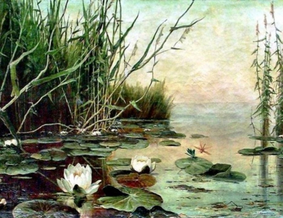 Лилии - озеро болото цветы лилии зеленый - оригинал