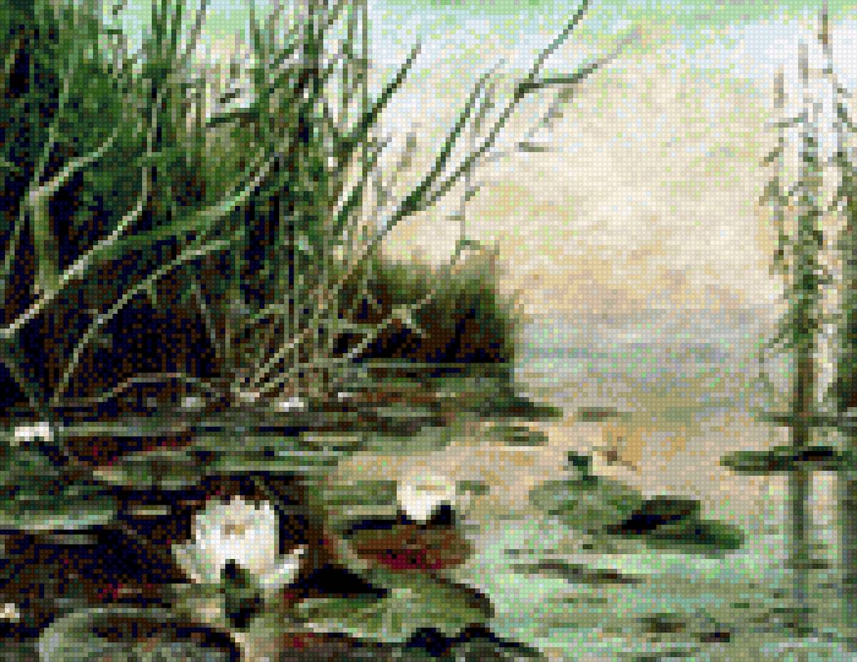 Лилии - озеро болото цветы лилии зеленый - предпросмотр
