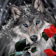 Оригинал схемы вышивки «Волк и роза» (№2175524)