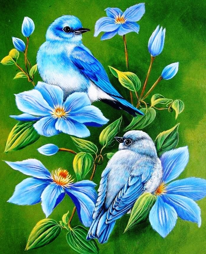 Синяя птица счастья - природа, птица - оригинал