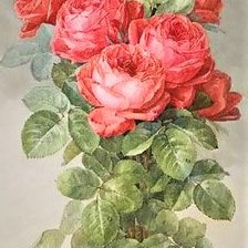 Схема вышивки «vintazh pink rose»