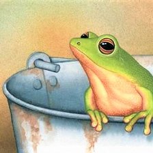 Схема вышивки «Frog and fly»