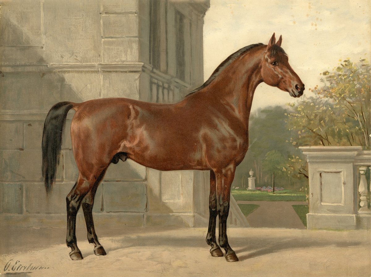 художник Otto Eerelman - художники, лошади, животные - оригинал