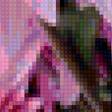 Предпросмотр схемы вышивки «Розовые цветы» (№2197477)