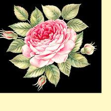 Оригинал схемы вышивки «Серия "Розы".» (№2205904)