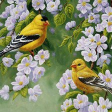 Желтые птички на ветвях яблони