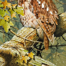 Схема вышивки «Tawny Lookout-(Tawny Owl).»