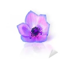 Оригинал схемы вышивки «цветок» (№2207793)