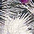 Предпросмотр схемы вышивки «птицы» (№2212892)