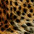 Предпросмотр схемы вышивки «Гепард» (№2213943)